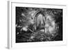 Manisternagalliaghduff, County Limerick, Ireland-Simon Marsden-Framed Giclee Print