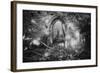 Manisternagalliaghduff, County Limerick, Ireland-Simon Marsden-Framed Giclee Print