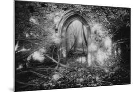 Manisternagalliaghduff, County Limerick, Ireland-Simon Marsden-Mounted Giclee Print