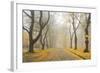 Manito Boulevard in October, Spokane, Washington, USA-Charles Gurche-Framed Photographic Print