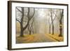 Manito Boulevard in October, Spokane, Washington, USA-Charles Gurche-Framed Photographic Print