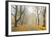 Manito Boulevard in October, Spokane, Washington, USA-Charles Gurche-Framed Photographic Print