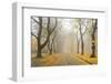 Manito Boulevard in October, Spokane, Washington, USA-Charles Gurche-Framed Photographic Print