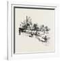 Manitoba, Steamboat Landing, Canada, Nineteenth Century-null-Framed Giclee Print