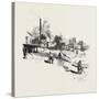 Manitoba, Steamboat Landing, Canada, Nineteenth Century-null-Stretched Canvas