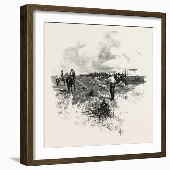 Manitoba, the Harvesters, Canada, Nineteenth Century-null-Framed Giclee Print