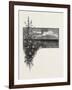 Manitoba, the Virgin Prairie, Canada, Nineteenth Century-null-Framed Giclee Print