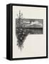 Manitoba, the Virgin Prairie, Canada, Nineteenth Century-null-Framed Stretched Canvas