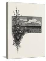 Manitoba, the Virgin Prairie, Canada, Nineteenth Century-null-Stretched Canvas