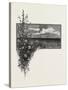 Manitoba, the Virgin Prairie, Canada, Nineteenth Century-null-Stretched Canvas