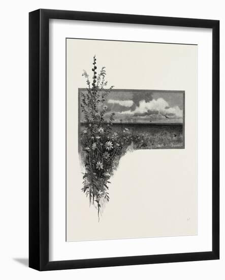 Manitoba, the Virgin Prairie, Canada, Nineteenth Century-null-Framed Giclee Print