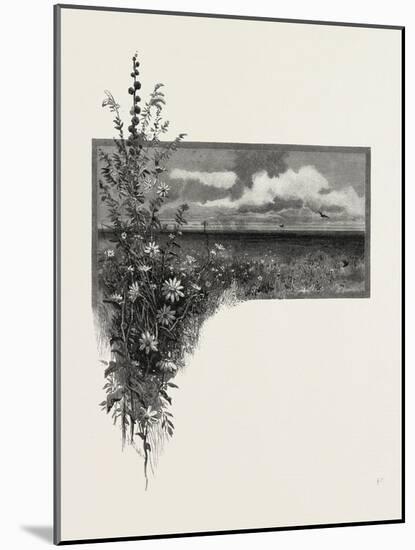 Manitoba, the Virgin Prairie, Canada, Nineteenth Century-null-Mounted Giclee Print