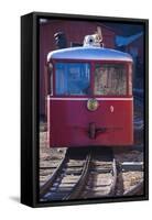 Manitou Springs, Pikes Peak Cog Railway, Locomotive Train, Colorado, USA-Walter Bibikow-Framed Stretched Canvas