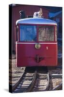 Manitou Springs, Pikes Peak Cog Railway, Locomotive Train, Colorado, USA-Walter Bibikow-Stretched Canvas