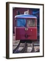 Manitou Springs, Pikes Peak Cog Railway, Locomotive Train, Colorado, USA-Walter Bibikow-Framed Photographic Print