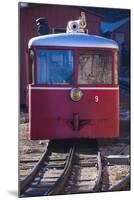 Manitou Springs, Pikes Peak Cog Railway, Locomotive Train, Colorado, USA-Walter Bibikow-Mounted Photographic Print