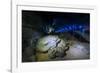 Manjanggul Longest Lava Tube System in the World on the Island of Jejudo-Michael-Framed Photographic Print