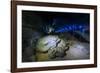 Manjanggul Longest Lava Tube System in the World on the Island of Jejudo-Michael-Framed Photographic Print