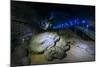 Manjanggul Longest Lava Tube System in the World on the Island of Jejudo-Michael-Mounted Photographic Print