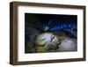 Manjanggul Longest Lava Tube System in the World on the Island of Jejudo-Michael-Framed Photographic Print