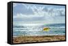 Manly Beach, Manly, Sydney, New South Wales, Australia, Pacific-Mark Mawson-Framed Stretched Canvas