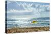 Manly Beach, Manly, Sydney, New South Wales, Australia, Pacific-Mark Mawson-Stretched Canvas