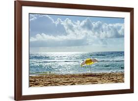 Manly Beach, Manly, Sydney, New South Wales, Australia, Pacific-Mark Mawson-Framed Photographic Print