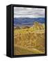 Manly Beacon at Zabriskie Point-Rudy Sulgan-Framed Stretched Canvas