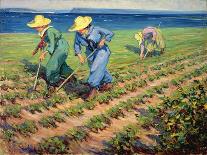 Land Girls Hoeing, c.1919-Manly Edward Macdonald-Giclee Print