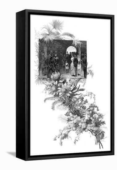 Manly Wild Flower Show, Sydney, New South Wales, Australia, 1886-null-Framed Stretched Canvas