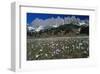 Manndlwand Hochkoenig Salzburg-null-Framed Art Print