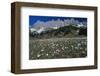 Manndlwand Hochkoenig Salzburg-null-Framed Art Print