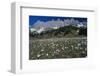 Manndlwand Hochkoenig Salzburg-null-Framed Art Print