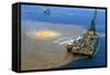 Manned Rig in Oil Spilled Waters-null-Framed Stretched Canvas