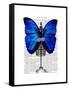 Mannequin Blue Butterfly-Fab Funky-Framed Stretched Canvas