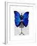 Mannequin Blue Butterfly-Fab Funky-Framed Art Print