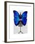 Mannequin Blue Butterfly-Fab Funky-Framed Art Print