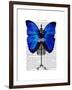 Mannequin Blue Butterfly-Fab Funky-Framed Art Print