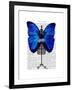 Mannequin Blue Butterfly-Fab Funky-Framed Art Print