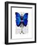 Mannequin Blue Butterfly-Fab Funky-Framed Art Print