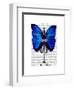 Mannequin Blue Butterfly-Fab Funky-Framed Art Print