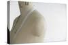 Mannequin Indoors, Close Up, Side View-moodboard-Stretched Canvas