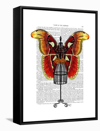 Mannequin Red and Yellow Butterfly-Fab Funky-Framed Stretched Canvas