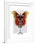 Mannequin Red and Yellow Butterfly-Fab Funky-Framed Art Print