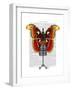 Mannequin Red and Yellow Butterfly-Fab Funky-Framed Art Print