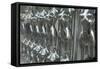 Mannequins Silver-Charles Bowman-Framed Stretched Canvas