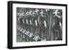 Mannequins Silver-Charles Bowman-Framed Photographic Print