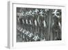 Mannequins Silver-Charles Bowman-Framed Photographic Print