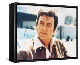 Mannix-null-Framed Stretched Canvas