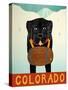 Mans Best Friend Blck Colorado-Stephen Huneck-Stretched Canvas